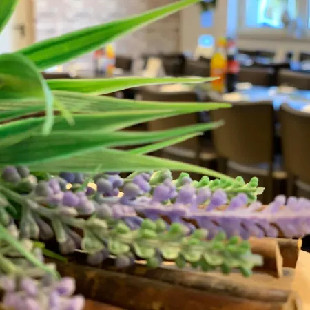 Aparthotel Rheinischer Hof 2*