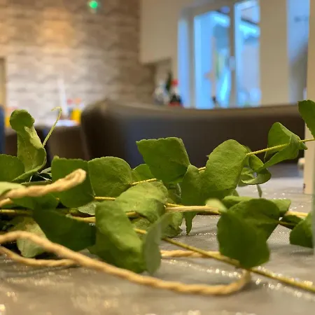 شقة فندقية Rheinischer Hof دورماغن