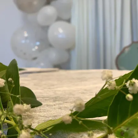 Rheinischer Hof شقة فندقية