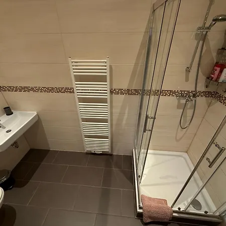 شقة فندقية Rheinischer Hof 2*