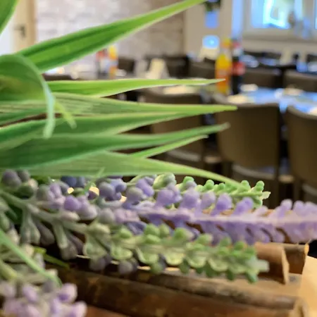 شقة فندقية Rheinischer Hof 2*