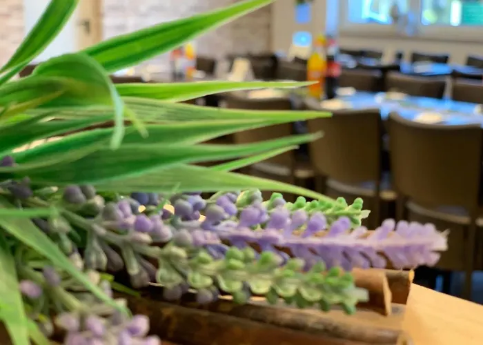 Aparthotel Rheinischer Hof 2*