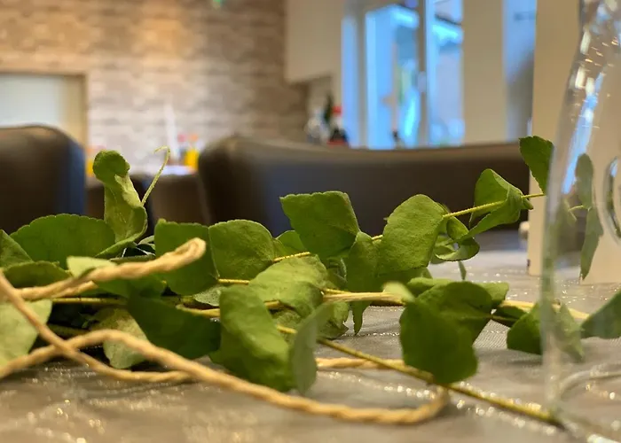 Aparthotel Rheinischer Hof Dormagen