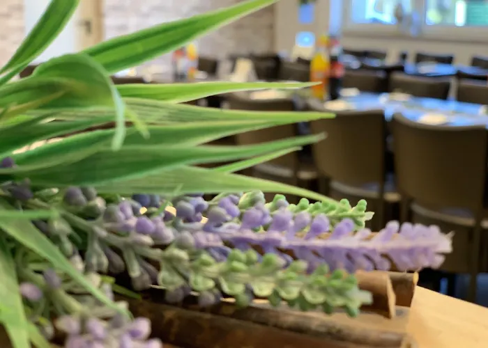 Aparthotel Rheinischer Hof 2*