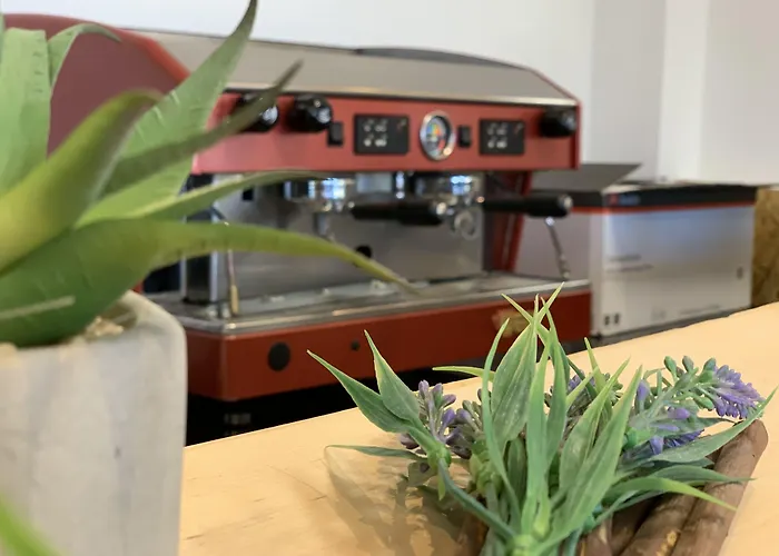 Apartmanhotel Rheinischer Hof